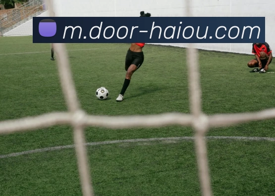 海鸥体育品牌故事